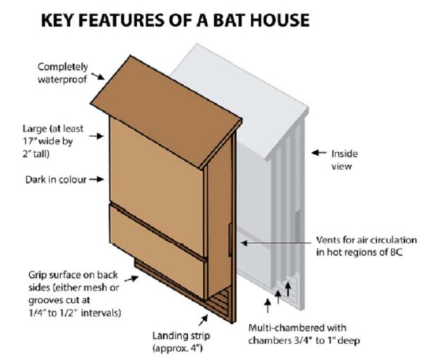 bat-houses-denman-conservancy-association